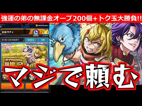 【モンスト】「シャンフロコラボ ガチャ」※こんな奇跡あるのか…!!強運無課金の弟が貯めたオーブ200個＋トク玉大勝負!!!【シャングリラ・フロンティアコラボ】