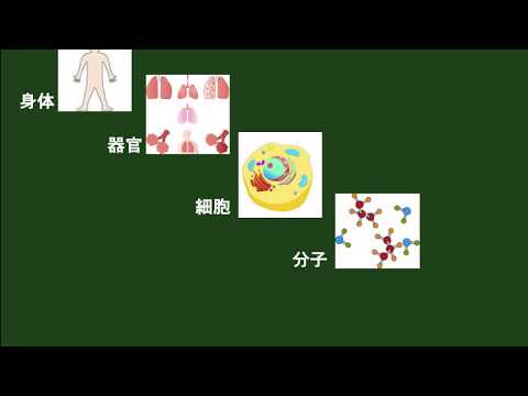 いきいき健康チャンネル『霊性とスピリチュアルケア　part-３』