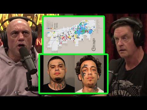 Chicago GANGS are OUT OF CONTROL and nobody is doing anything about it. Joe Rogan & Jim Breuer