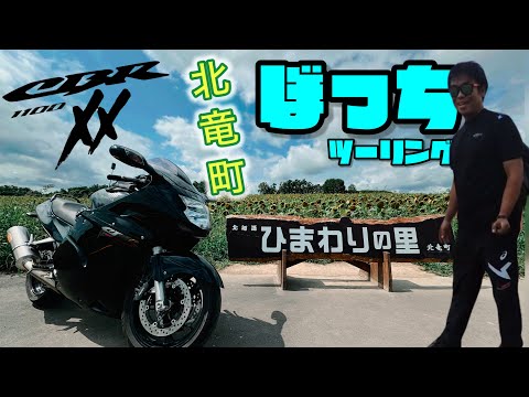 【CBR1100XX】北竜町ひまわりの里　8月中旬撮影