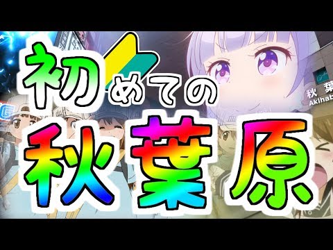 （初心者） 初めてでも秋葉原を楽しみたい！ （オススメ） Even beginners enjoy Akihabara.