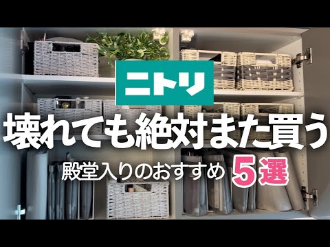 【ニトリ/NITORI雑貨】買ってよかった！お気に入り過ぎてリピートしてる愛用品５選/収納BOX/箸/シート/グリーン/ランチョンマット