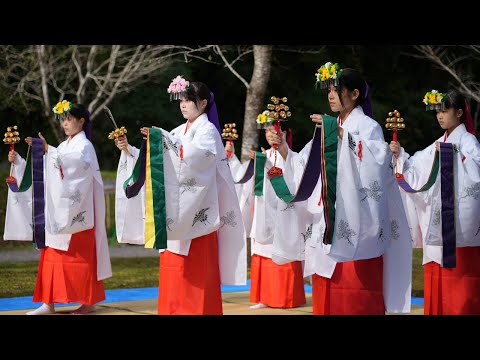 2024.11.24 吾平山上陵の四季を楽しむお茶会