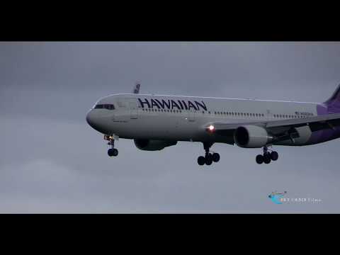 【新千歳空港 国際線飛行機動画】Hawaiian Airlines(HAL) Boeing767-300ER N582HA