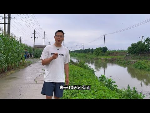 一夜之间，沟渠漫了！距离公路只有一步之遥，希望不要在下雨了！