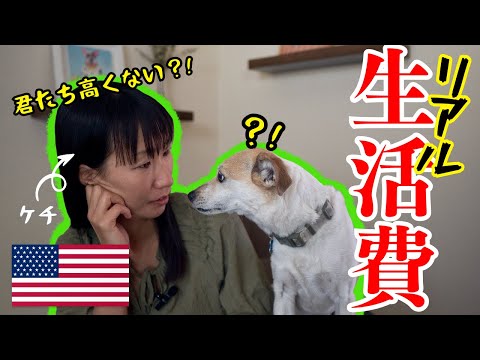 【アメリカ生活費】最新版：きらきらしてないアメリカラスベガスの生活費。愛犬達にかかった費用は？｜アメリカ生活｜家計｜物価高｜インフレ｜主婦レポ｜