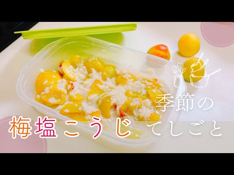 梅塩こうじ✨季節の手しごとをしながら、麹ライフも楽しもう♬