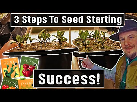 3 Steps To Seed Starting Success | Gardening With Plant Abundance