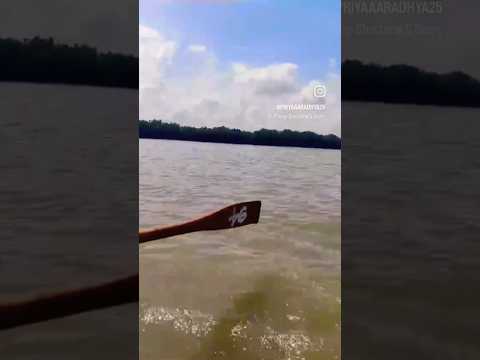 #boat ride 🛶🛶❤ #mangrove forest #trending #viral #shortsfeed #ytshorts #tamil #shorts #nature #yt