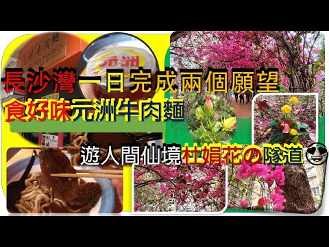 [為食飯團NO 33]一日完成兩個願望/食好味元洲牛肉麵/牛肉超淋入味/湯底勁濃藥材味/再逛人間仙境/杜娟花隧道 謝謝 kenny@wong   [K.W VIDEO]