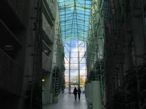 Inside the library in Warsaw