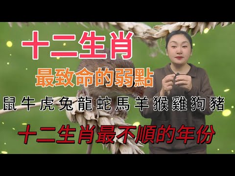 十二生肖最大的弱點是什麼？12生肖最不順的年份是哪一年？十二屬相必看！#風水 #生肖 #佛教