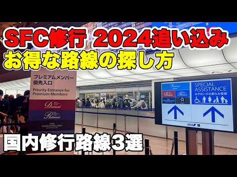 まだ間に合う！【SFC修行】お得な路線の探し方　 追い込み 2024　おススメ国内線修行