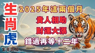 2025年這兩個月，生肖虎，有貴人相助，財運大漲，錯過再等十二年！屬虎人必看！#財運 #貴人相助#屬虎人2025年運勢 #生肖虎2025年運勢 #屬虎人2025年運程 #生肖虎2025年運程