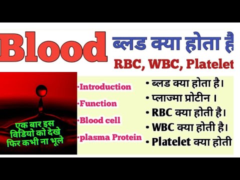 Blood kya h || RBC || WBC || platelets|| function of blood || plasma||