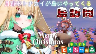 【あつまれどうぶつの森】 　クリスマスイブだよ💕　島に入れろ。　~月野木トナカイからのクリスマスプレゼント~ #acnh 【 #月野木ちろる /#ななしいんく 】