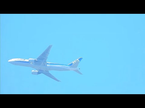 雲隠れの術！みぞか号！ 伊丹空港！Plane Spotting  Live!!  Osaka International Airport   11/06/2024