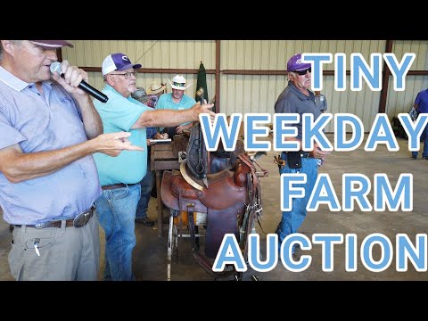 Tiny Weekday Farm Auction Saddles,Guns,Trailers,A Truck And A Trailer