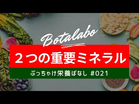 森山 晃嗣先生による無料講座「人間に必要な2つの重要ミネラルとは？」｜養生大学