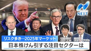 リスク多き…2025年マーケット 日本株けん引する注目セクターは【NIKKEI NEWS NEXT】