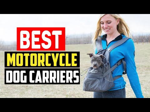 Top 5 Best Motorcycle Dog Carriers in 2023