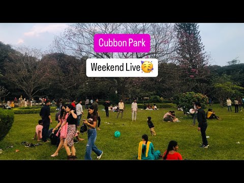 Cubbon Park evening vibe 😍 Sunday Live # bangalore #park