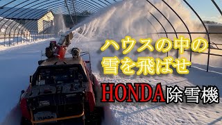 【HONDA除雪機】ビート(甜菜)育苗ハウス内の雪はね