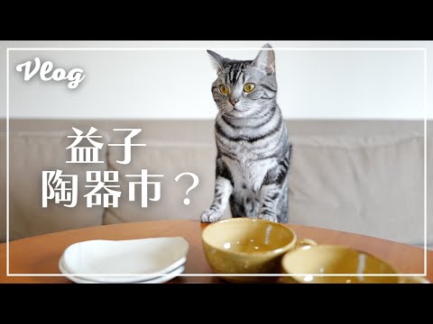 My cat is stunned in front of the booty of Mashiko Pottery Market. [Vlog]