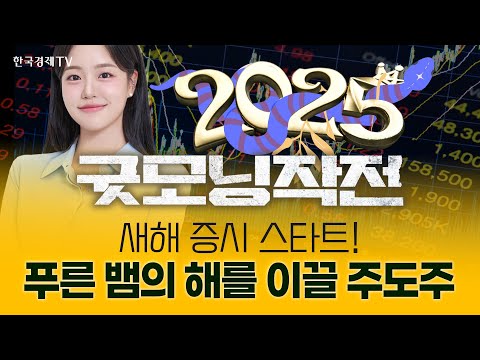 새해 증시 스타트! 푸른 뱀의 해를 이끌 주도주는 | 굿모닝작전_250102