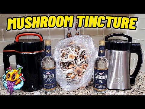 How To Make Mushroom Tincture (My First Time)