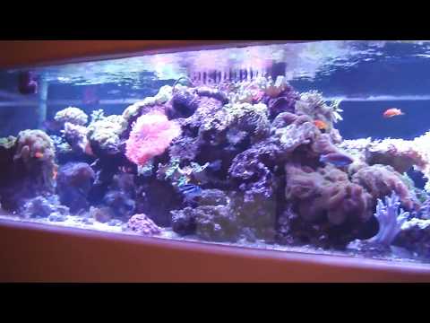 GHL Mitras LX7206 LED Light Installation LA Fishguys TECH TALK episode 158, part 3