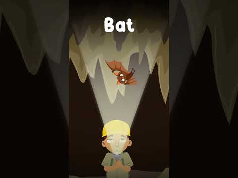 Learn One-Syllable Words: Bat | Baby Nursery Rhymes & Kids Learning Video