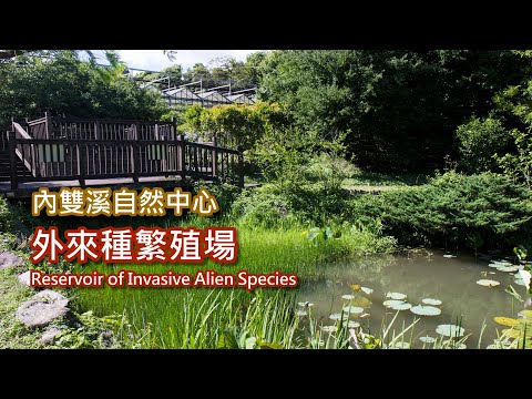 7-8 內雙溪自然公園-外來種繁殖場 Reservoir of Invasive Alien Species