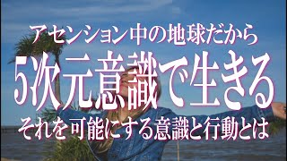 5次元意識で生きる方法　現在アセンション中の地球では5次元意識をベースに生きることが可能！重い3次元から軽い5次元へシフトしよう　スターシード・ライトワーカー必聴！