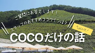 第1回COCOだけの話 ちょCOっと！「スタッフのおすすめココワインは？」