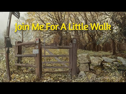 Join Me On A Little Walk - First Video Test Footage