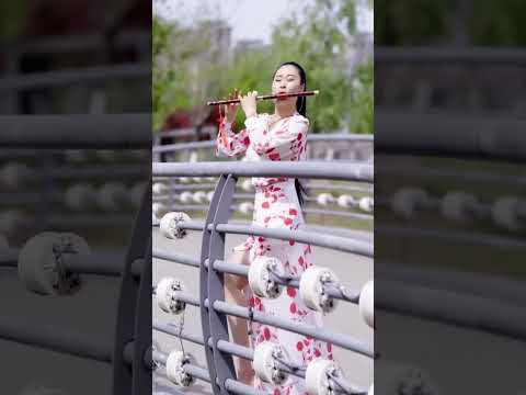 【非常好听】🔥👍👍舞女【电子琴演奏】Electronic keyboard performance - 电吹管音质音乐 - DJ节奏电子琴舞曲 - 最好聽的電子琴 老歌輕音樂 放鬆解壓  #28