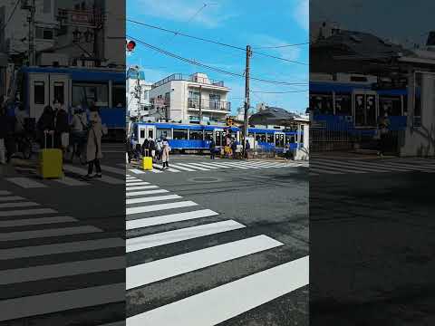 Japan Scenes #japan #japan2024 #tokyo #setagaya #japantravels #travelvlog