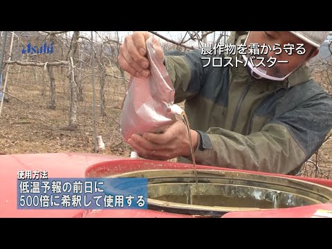 農作物を霜から守るフロストバスター（字幕なし）