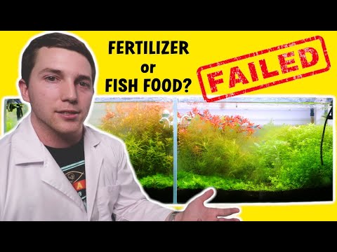 Is Fish Food A Viable Fertilizer? | Aquarium Experiment |