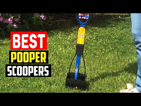 ✅Top 5 Best Pooper Scoopers in 2023