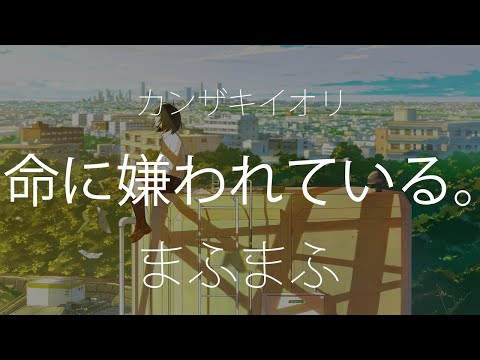 【HD】まふまふ - 命に嫌われている。【中日字幕】