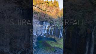 SHIRAITO WATERFALL, SHIZUOKA #fujisan #fuji