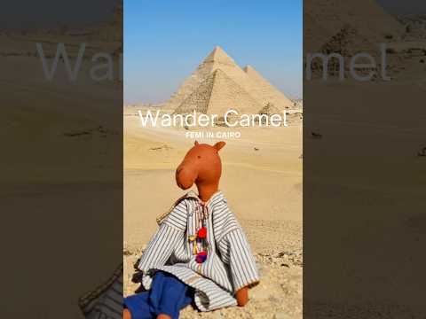 Wander Camel | Handcrafted dolls | Silaiwali |