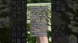 勵志小短文 10~13 #shorts #心靈雞湯 #勵志 #正能量