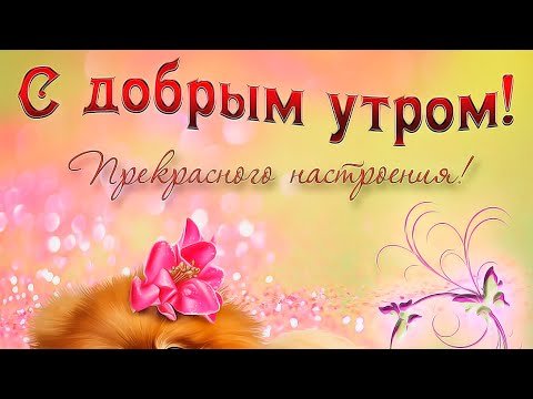 С ДОБРЫМ УТРОМ! ПРЕКРАСНОГО НАСТРОЕНИЯ! МУЗЫКАЛЬНАЯ ПОЗИТИВНАЯ ОТКРЫТКА ДЛЯ ТЕБЯ)