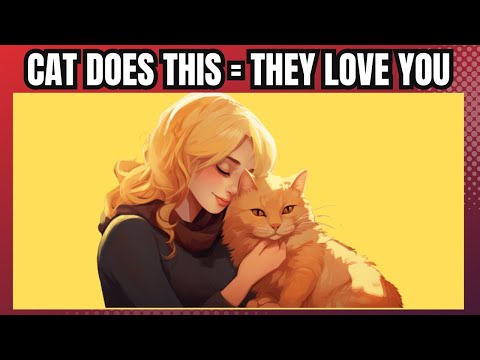 Proven Ways To Tell If Your Cat Loves You | 13 Unique Ways Cats Show Their Love To Humans