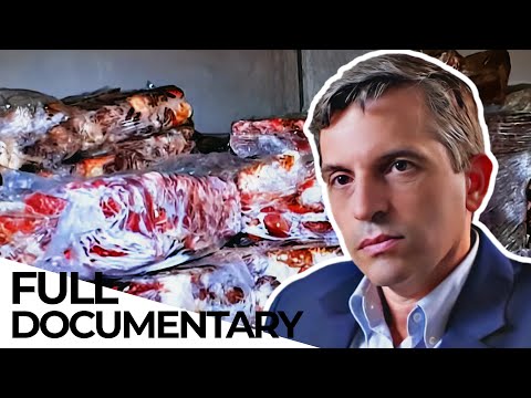 The Food Mafia - How Criminals Infiltrate the Global Food Supply Chain | ENDEVR Documentary