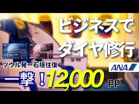 【これからのANA修行】ソウル発の国内線石垣島往復で一撃12,000PP超え！？ビジネスクラスでダイヤ防衛修行【SFC修行】