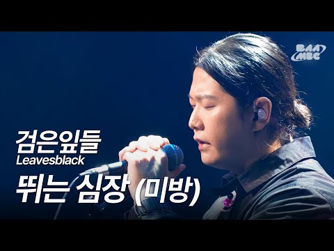 검은잎들 - 뛰는 심장 [241205 마이스테이지 미방]